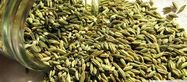 عکس از دمنوش رازیانه