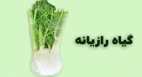 عکس داروی گیاهی رازیانه