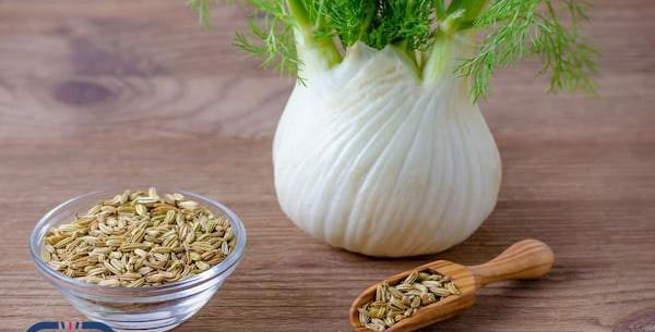 عکس داروی گیاهی رازیانه