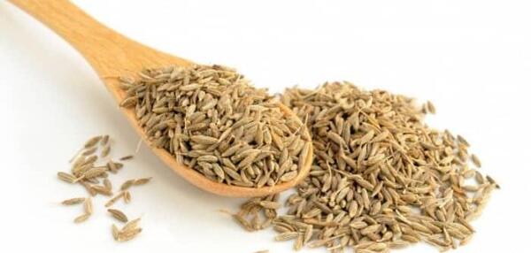 عکس داروی گیاهی رازیانه