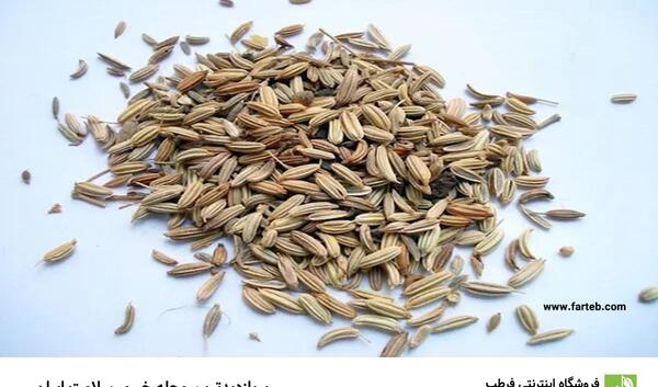 عکس داروی گیاهی رازیانه