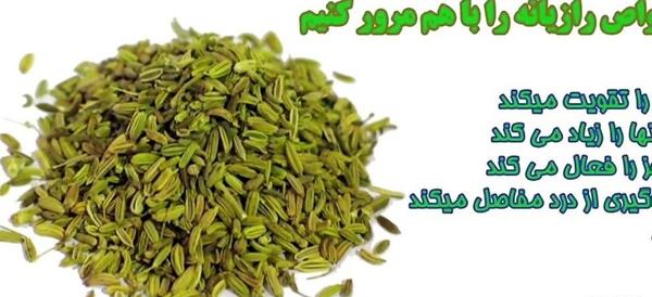 عکس رازیانه چگونه است