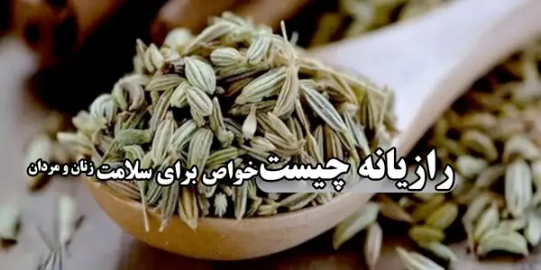 عکس رازیانه چگونه است