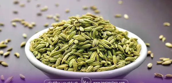 عکس رازیانه چگونه است