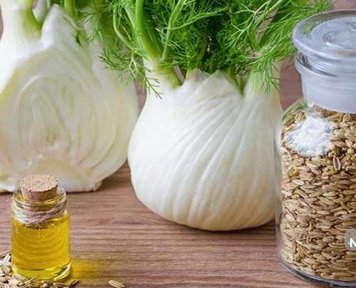 عکس رازیانه چگونه است