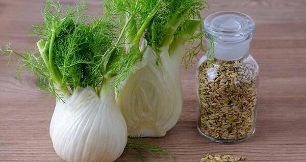 عکس رازیانه چگونه است