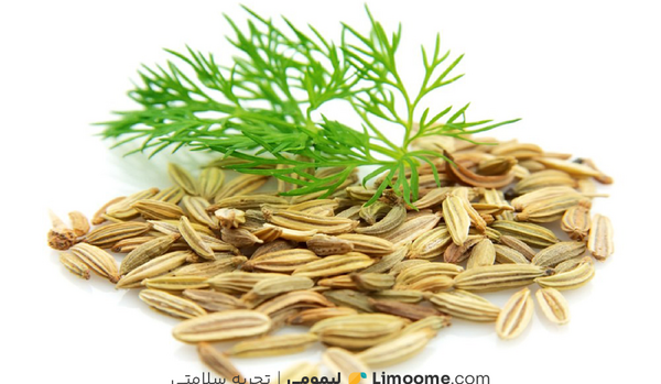 عکس رازیانه چگونه است