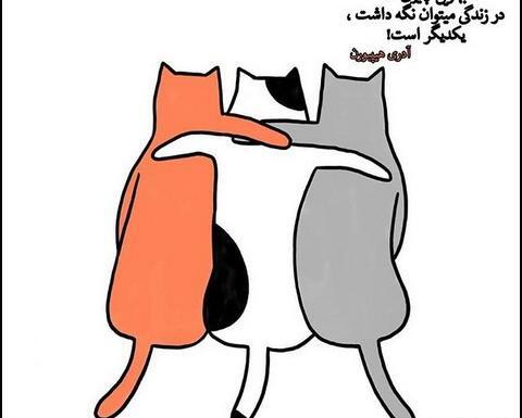 عکس رفیق متنی