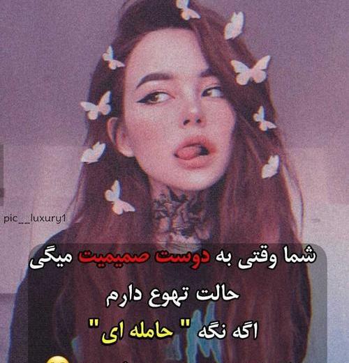 عکس رفیق کیوت ویسگون