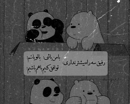 عکس رفیق کیوت ویسگون