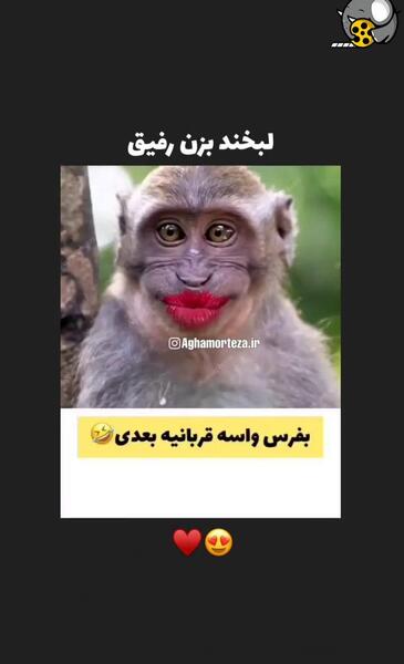 عکس طنز رفیقانه