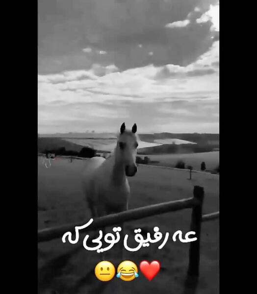 عکس طنز رفیقانه