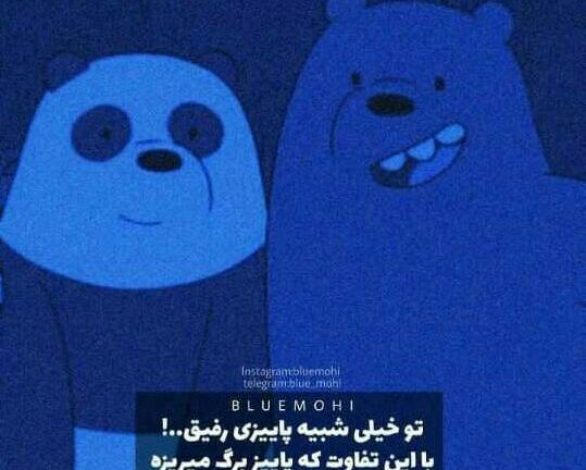 عکس طنز رفیقانه