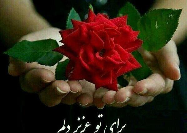 عکس دوست دارم رفیق گلم