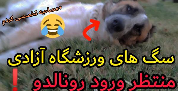 عکس سگ رونالدو مسی