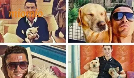 عکس رونالدو با سگش