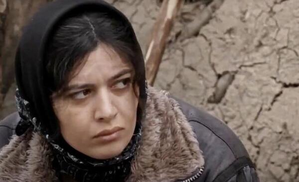 عکس علیرضا شاهی