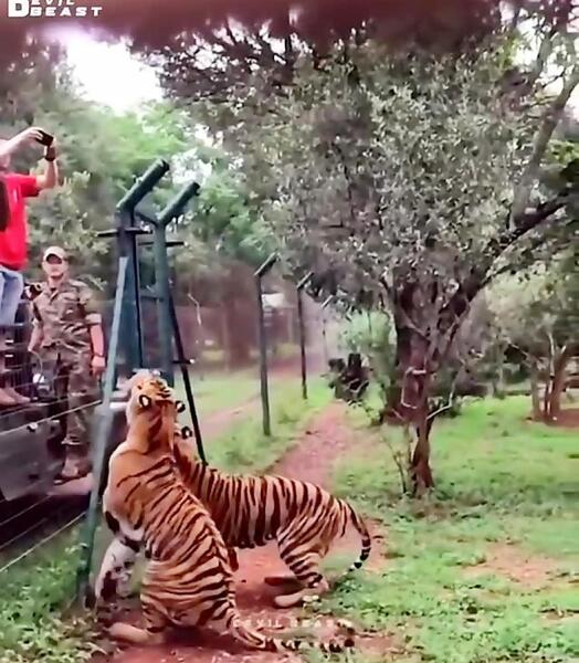 عکس از سلطان رونالدو