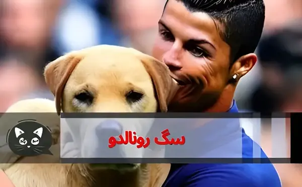 عکس حیوان خانگی رونالدو