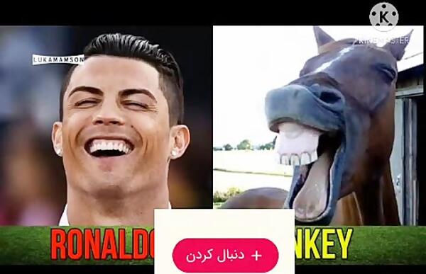 عکس حیوان خانگی رونالدو