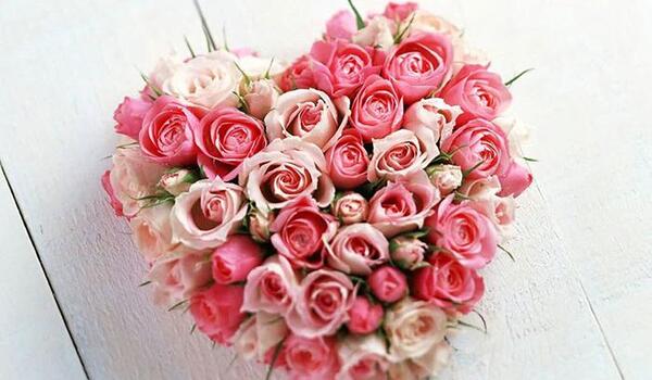 عکس گل های زیبا و رمانتیک
