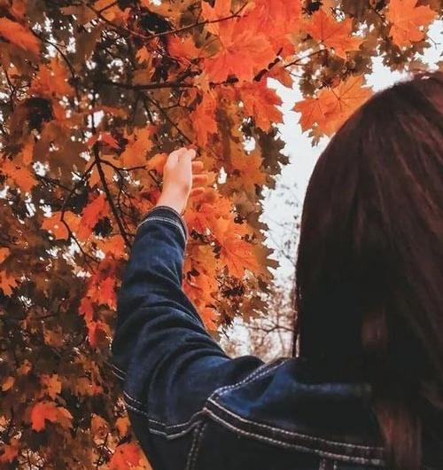 عکس پاییزی دخترانه بدون چهره