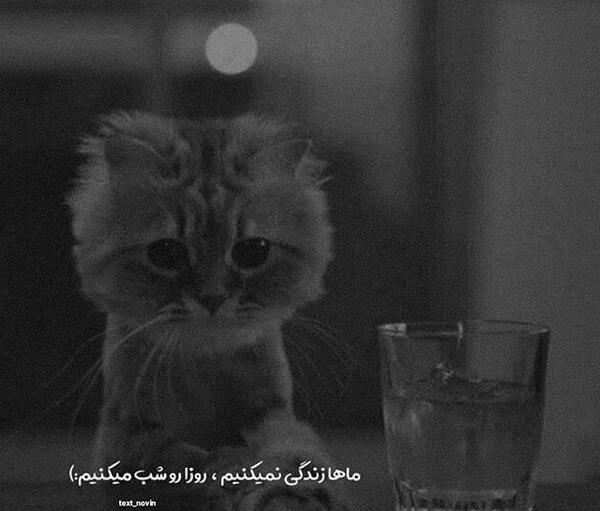 عکس تنهایی دخترونه ویسگون