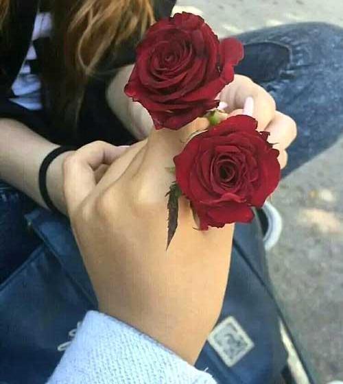 عشق رمانتیک عکس گل زیبا