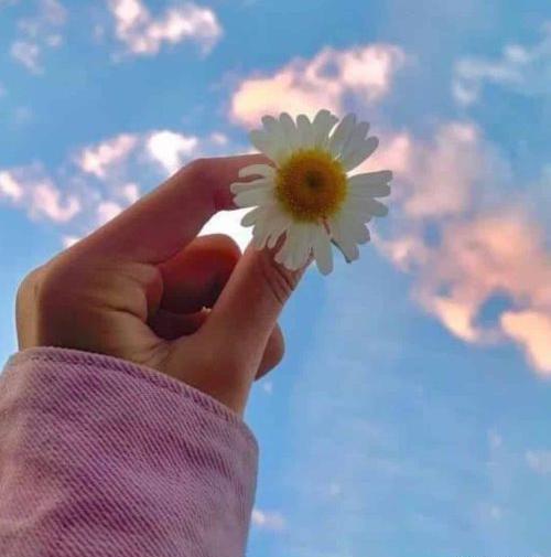 عکس دخترونه جدید پروفایل