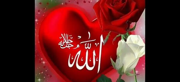 رمانتیک عکس قلب و گل
