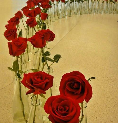 عکس دخترونه 4 نفره برای پروفایل