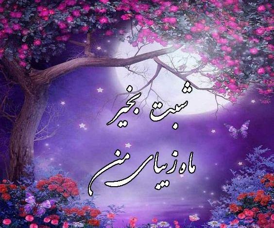 عکس رمانتیک شب بخیر