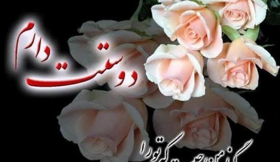عکس گل رمانتیک جدید