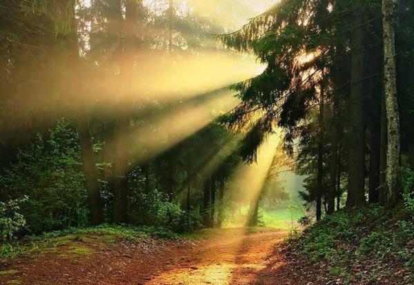 عکس طبیعت تصاویر ارامش ذهن