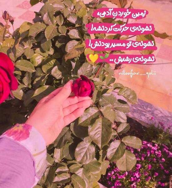 عکس های دخترونه واقعی برای پروفایل