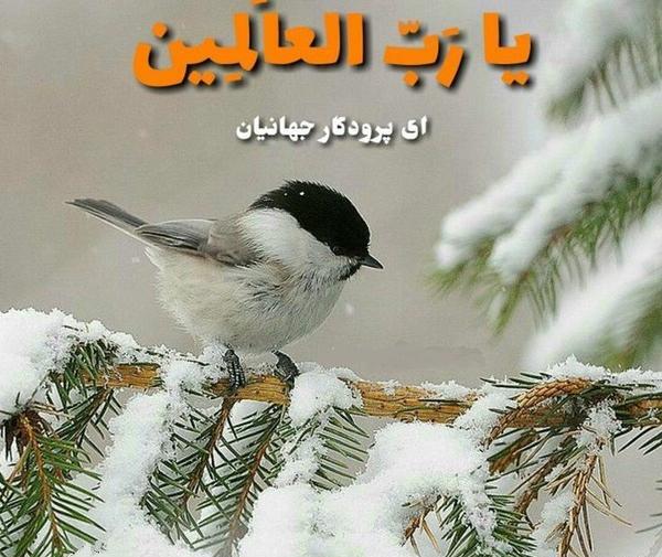 عکس ذکر روز شنبه با تصویر زیبا