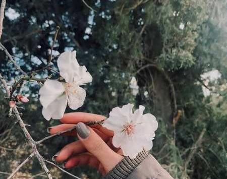 عکس فیک دخترونه هنری