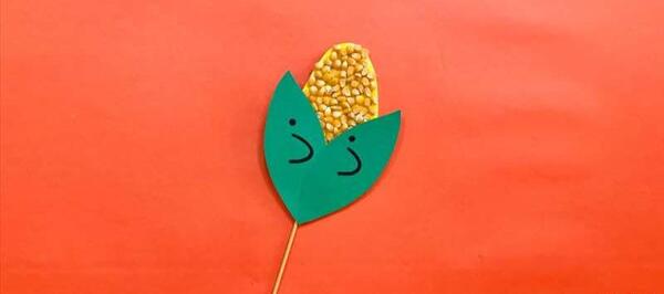 عکس ذرت برای کاردستی