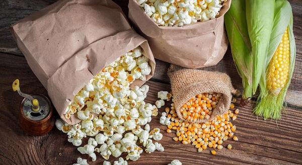 عکس ذرت برای کاردستی