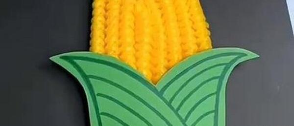 عکس ذرت برای کاردستی