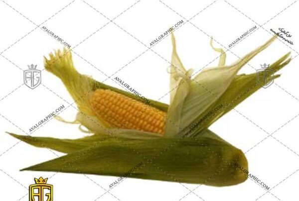 عکس طراحی ذرت