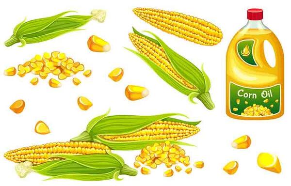 عکس از روغن ذرت