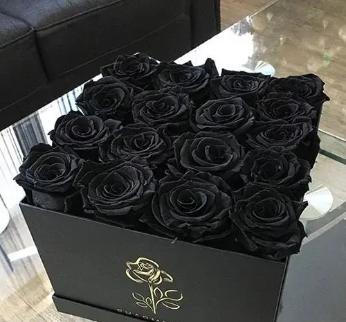 عکس دسته ی گل رز