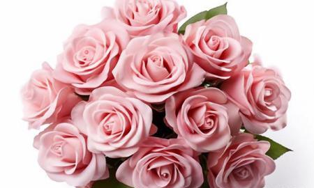 عکس از یک دسته گل زیبا