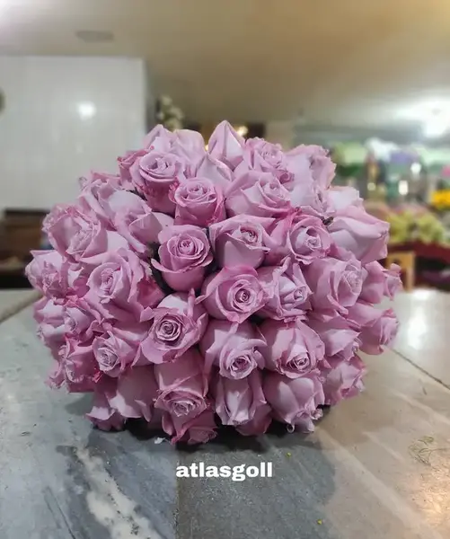 عکس دسته گل یاسی