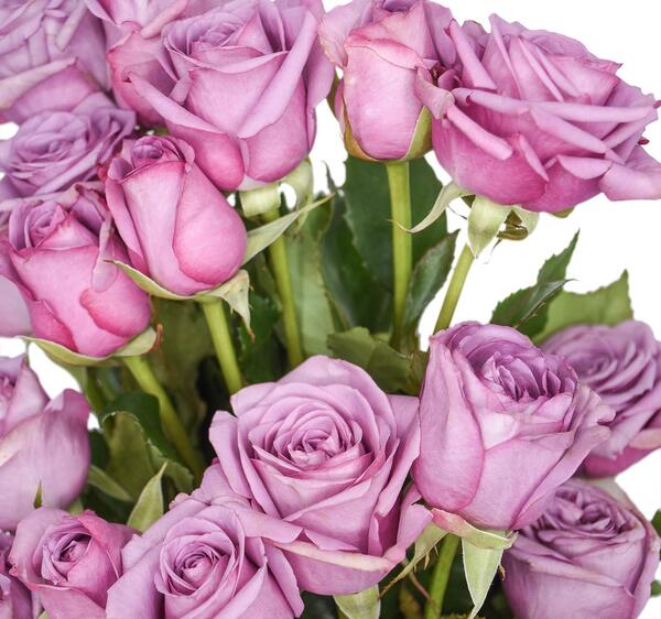 عکس دسته گل یاسی