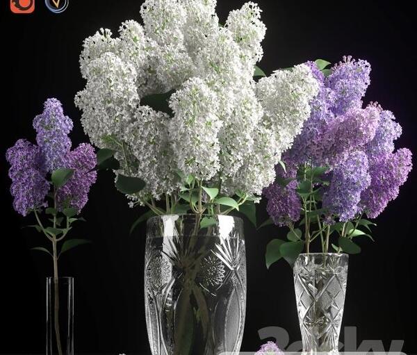 عکس دسته گل یاسی