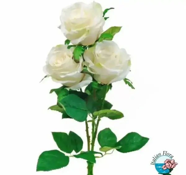 عکس دسته گل زیبا برای عشقم