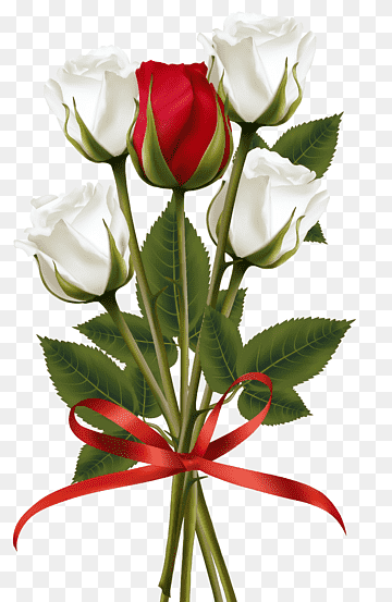 عکس دسته گل رز قرمز و سفید