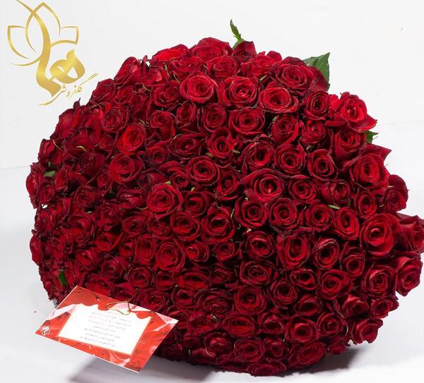 عکس دسته گل رز قرمز خیلی بزرگ